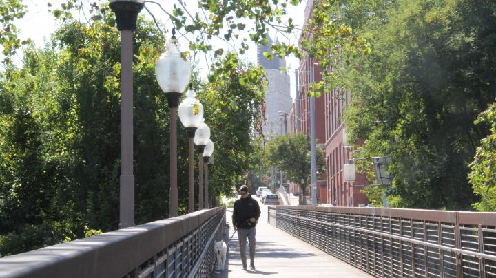 Walking a dog in River Market