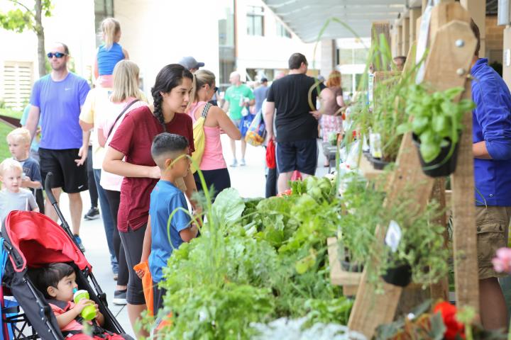Lenexa Farmers Market at City Center