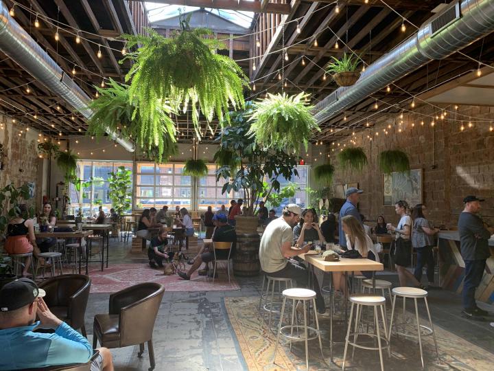 Casual Animal Brewery