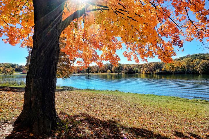 Wyandotte County Park in the Autum