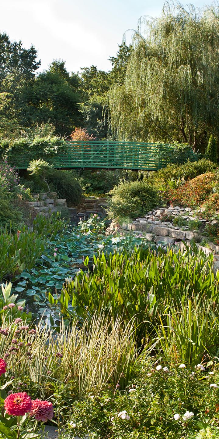 Lush arboretum featuring various flowers, trees and other plants