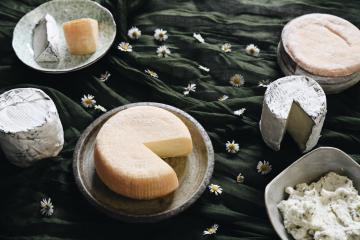 Various cheese wheels on a lush green tablecloth