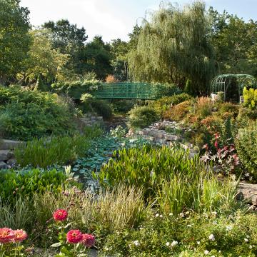 Lush arboretum featuring various flowers, trees and other plants