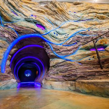 A whimsical "rabbit hole" opening with purple and pink lights to lead the way